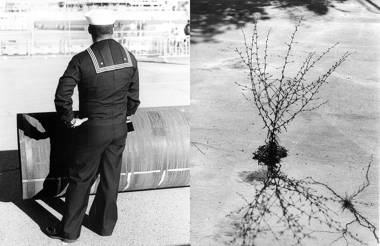 Homo Social / Homosocial: Fleet Week Waiting and Insidious Progress: Through the Concrete by Aaron Wilder