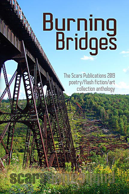 "Burning Bridges" by Scars Publications