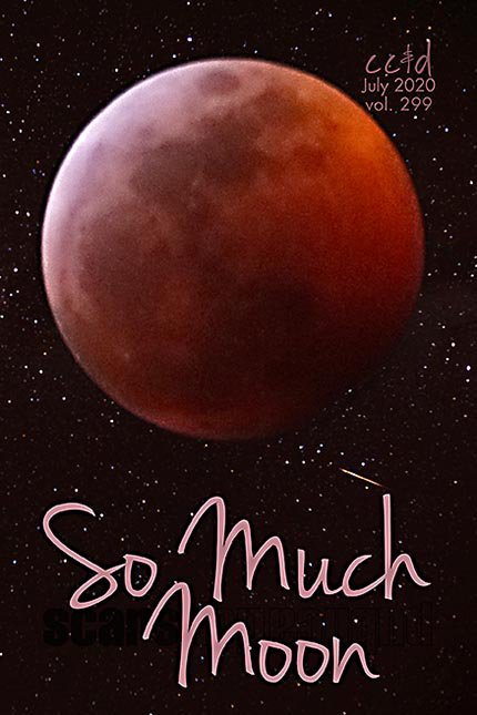 So Much Moon by Scars Publications